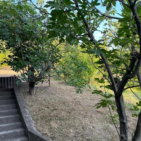 度假居 Vikendica Holly Novi Sad-alibegovac