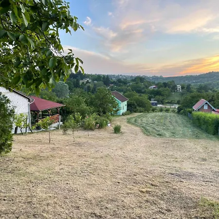 Vikendica Holly Novi Sad-alibegovac * Sremska Kamenica
